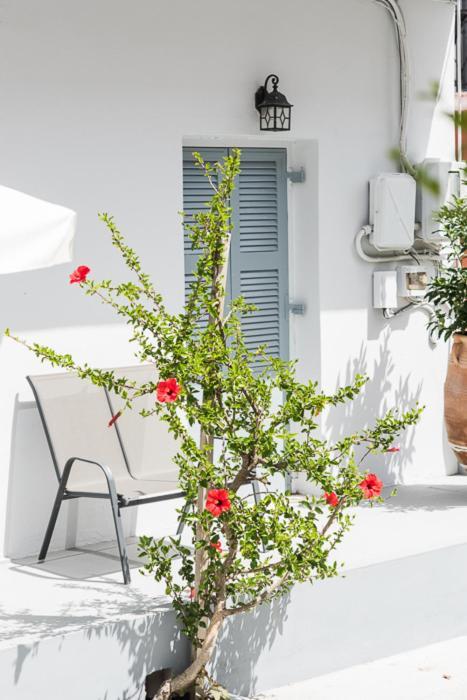 Hotel Hb Benitsa