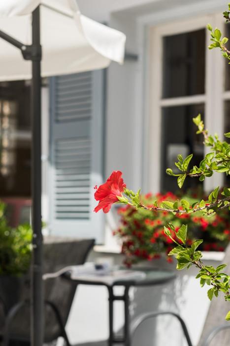Hb Benitsa Hotel *